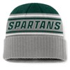 NCAA Michigan State Spartans Sleety Knit Cuffed Beanie - image 2 of 2