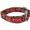 Country Brook Petz HossFit Jr Wide Premium Dog Collar - Affection Collection - 3 of 4