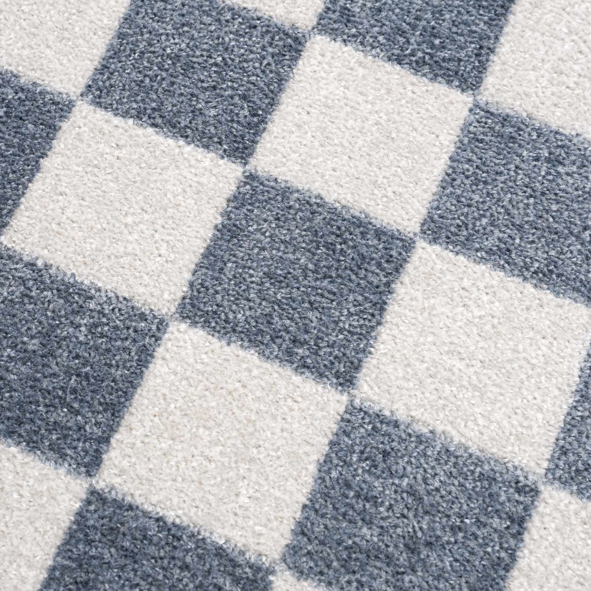 Hauteloom Rectangle Area Rug   Blue