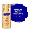 Absolut Mango Mule Sparkling Vodka Cocktail - 4pk/355ml Cans - 3 of 4