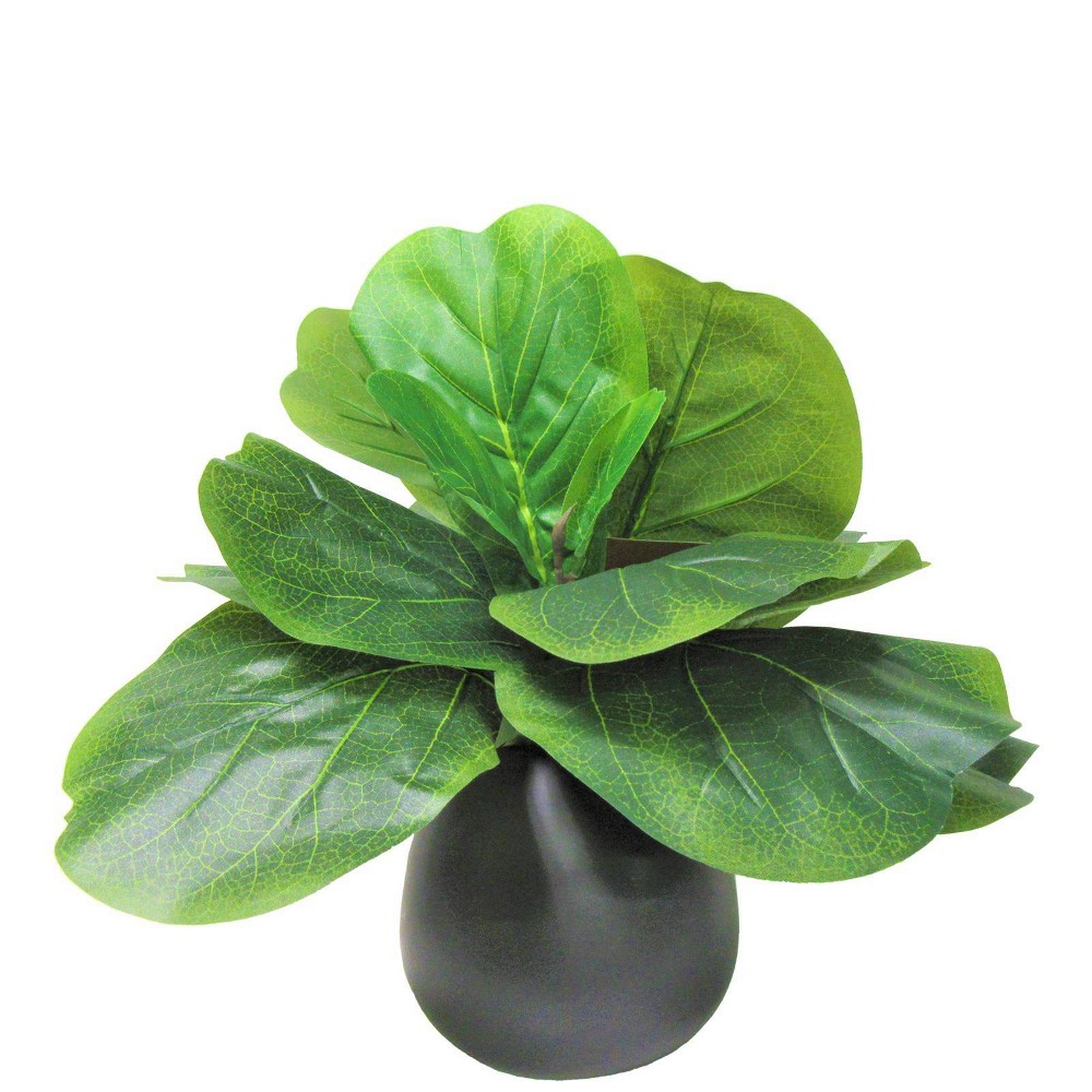 LCG Florals 15" x 12" Artificial Fig Plant in Ceramic Vase Black: Faux Ficus, Indoor Polyester Decor