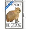 Trends International Capybara - Be Cappy Framed Wall Poster Prints - 3 of 4
