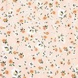 apricot bottom flowers