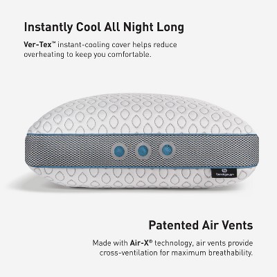 Frost 1.0 White and Gray Cooling Performance Pillow