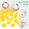 Unique Bargains Silk Artificial Cherry Blossom Flower Heads Wedding DIY Crafts 150 Pcs - 4 of 4