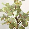 Artificial Tree - Faux 34.25" Potted Eucalyptus Tree - FXP1001 - Multicolored - Safvieh - 3 of 4