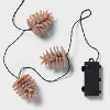 10ct LED Battery Operated Sugared Pinecone Christmas Indoor/Outdoor Novelty String Lights Warm White with Green Wire - Wondershop™ - 4 of 4