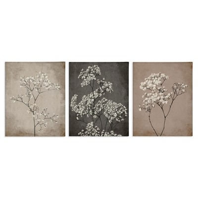 Stupell Industries Botanical Baby's Breath Herbs, 16" x 20"
