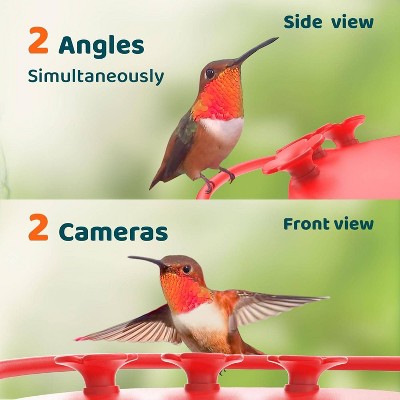 Birdfy White and Red Smart Hummingbird Feeder with Dual Cameras
