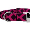 Country Brook Petz Premium Fabulous Lattice Dog Collar Limited Edition - 4 of 4