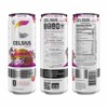CELSIUS Sparkling Space Variety Pack, Functional Energy Drink 12 fl oz (Pack of 12) - 3 of 4