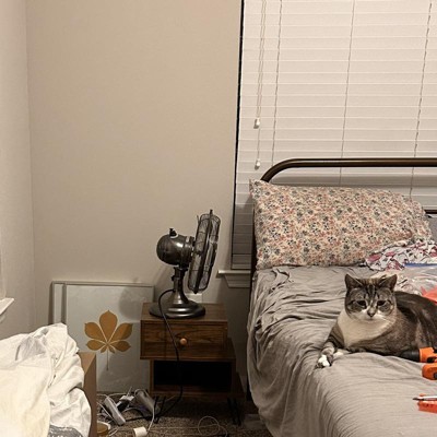 Guest review image 2 of 2, zoom in