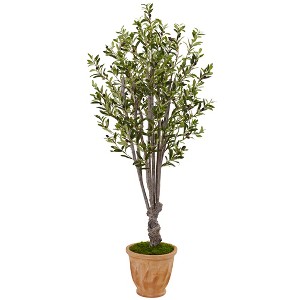 Nearly Natural 5-ft Olive Artificial Tree in Terracotta Planter - 1 of 1
