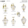 Livex Lighting Westover 2 - Light Pendant in  Polished Brass - 4 of 4