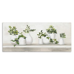 Stupell Industries Traditional Potted Cottage Plants, 30" x 13" - 1 of 4