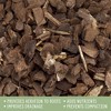 Soil Sunrise 100% Organic Orchid Potting Bark, Natural USA-Sourced Pine Bark Additive - 3 of 4