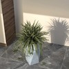 LeisureMod Tapered Square Planter Pot in Fiberstone with Drainage Holes for Indoor/Outdoor Use - Aloe Collection - 3 of 4