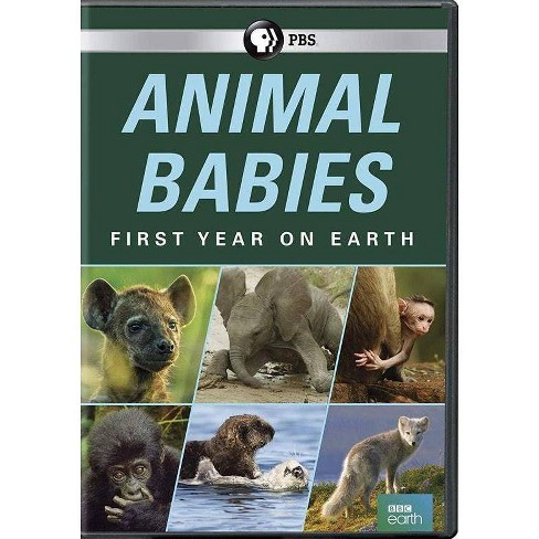 Animal Babies: The First Year on Earth (DVD)(2019)