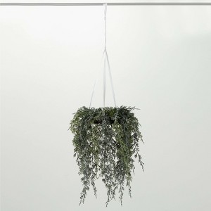 Sullivans Artificial Draping Cypress Hanging Christmas Wreath  Green-White  Indoor Christmas DÃƒÂ©cor - 1 of 3