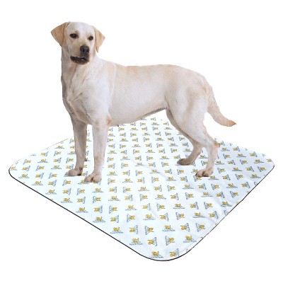 potty pad