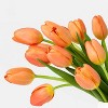 Mother's Day 10-Stem Tulips - Good Little Garden™ - 3 of 3