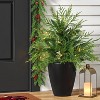 24" Pre-Lit Norfolk Cedar Artificial Greenery with Ground Stake - Wondershop™ - 2 of 4