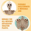 Joyfy 16” Halloween Full Body Poseable Skeleton, Human Plastic Bone with Movable Joints for Haunted House Graveyard Prop Party Decor (1pcs, Original) - 3 of 4