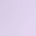 Lilac Purple