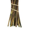 Vickerman 36"-40" Bell Grass with Seed Pods, Preserved - 4 of 4