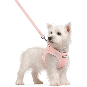 rabbitgoo Dog Harness Small Sized and Leash Set, Breathable Mesh Pet Harness, Reflective for Safe Outdoor Walking, Pink S - 1 of 1