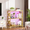 Besiost Glass Bookshelves, Modern Gold Display Book Shelf with LED Light - 3 of 4