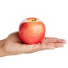 Juvale 6 Pack Realistic Artificial Apple Fake Fruits for Kitchen Decor, Red & Green, 2.5 In - 3 of 4