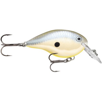 disco shad
