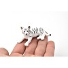Collectible Wildlife Gifts | Tiger Cub, White, Realistic Toy Model Plastic Replica Animal, Kids Educational Gift  3"  M069 B642 - 3 of 4