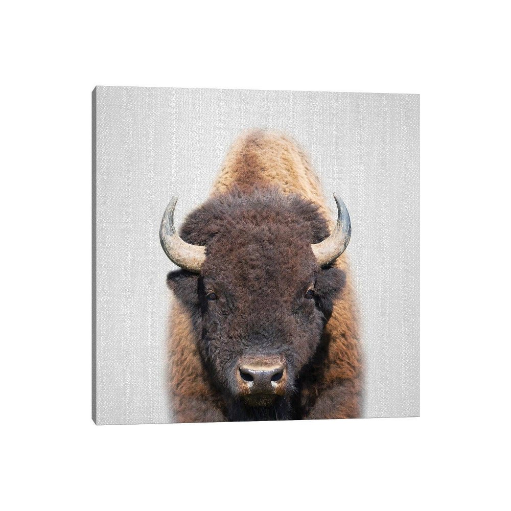 iCanvas 37"x37" Buffalo by Gal Design Canvas Print Wall Art