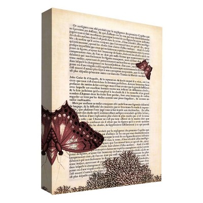 11" x 14" A Butterfly Story IV Decorative Wall Art - PTM Images