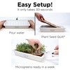 HAMAMA Microgreens Growing Kit - Sprouts Growing Kit, Grow Microgreens Indoor, Microgreens Starter Kit with CERAMIC Tray - 3 of 4
