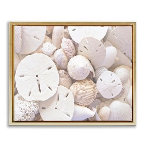 Stupell Industries White Mixed Sand Dollar Shells Floating Frame Canvas Art, Gold, 21" x 17" - 1 of 4