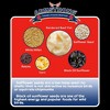Armstrong Wild Bird Food Royal Jubilee Brilliance Suet Cake, 10.6oz (Pack of 3) - 4 of 4