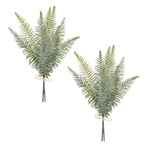 Melrose Fern Foliage Bundle (Set of 2) - 1 of 3