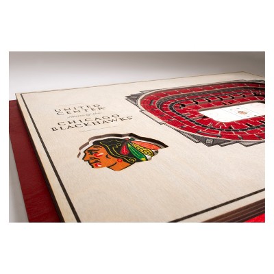 Chicago Blackhawks 3D StadiumView Wall Art with Emblem