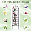 Metal Plant Trellises for Climbing Plants - 4 of 4