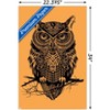 Trends International Rachel Caldwell - Warrior Owl On Orange Unframed Wall Poster Prints - 3 of 4