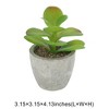 Unique Bargains Artificial Plants Mini Desert Rose in Pulp Plastic 3.15"x3.15"x4.13" 1Pcs - 3 of 4