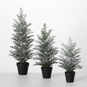 25"H, 20.5"H & 15.5"H Sullivans Artificial Tabletop Frosted Pine Christmas Tree Set of 3, Green-White - 1 of 3