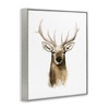 Stupell Industries Deer Portrait Watercolor Framed Giclee Art - 2 of 4