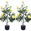 Acekool 36’’ Artificial Camellia Tree with 28 Blooming Flowers, Faux Floral Potted Plant for Indoor and Outdoor Home, Office, Porch Décor必填 - 2 of 4