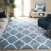 Tahoe Shag THO675 Power Loomed Indoor Rugs - Safavieh - 2 of 4