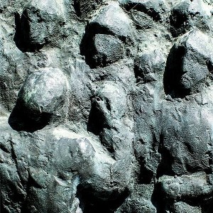 Arc - Fleet (CD) - 1 of 1