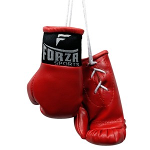 Forza Sports Mini Boxing Gloves - 1 of 2